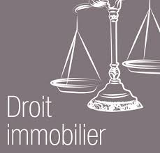 LOGO DROIT IMMOBILIER